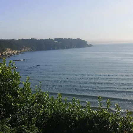 Ximena Con Piscina * Viveiro